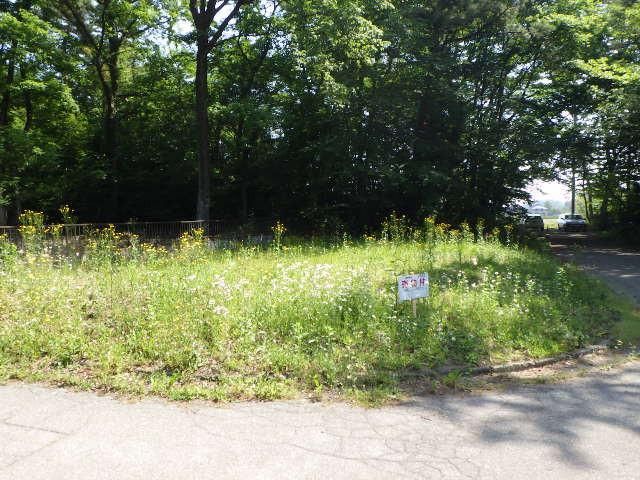 Land for Sale in Nasushiobara, Tochigi - 199 sqm Corner Lot - Thumbnail 2