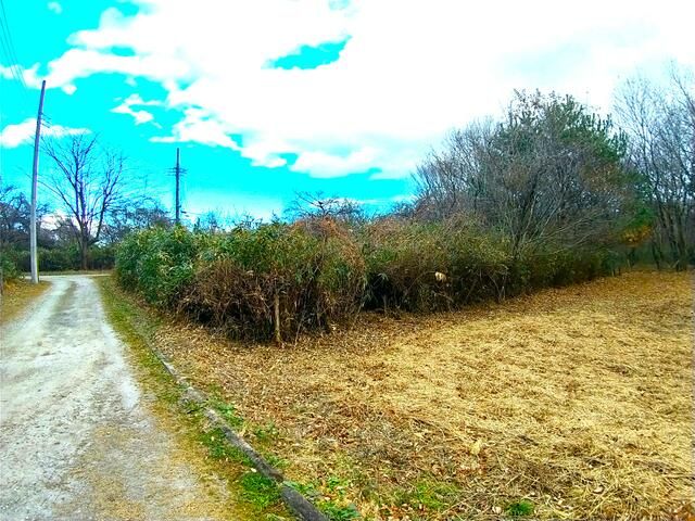 Land for Sale in Nasushiobara, Tochigi 266 sqm - Thumbnail 3