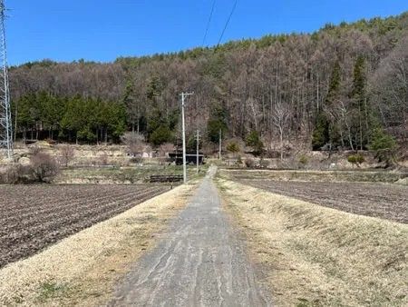 Sunny Terraced Land with Countryside Views in Chino, Nagano - Thumbnail 4
