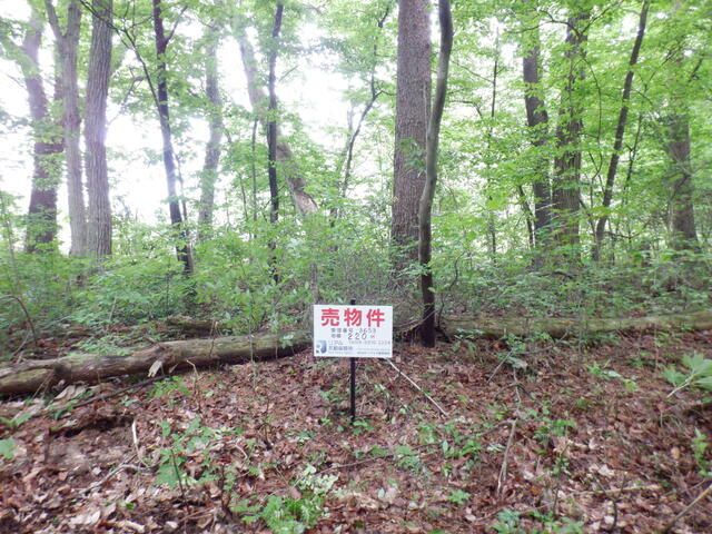 Land for Sale in Nasushiobara, Tochigi - 220 sqm - Thumbnail 3