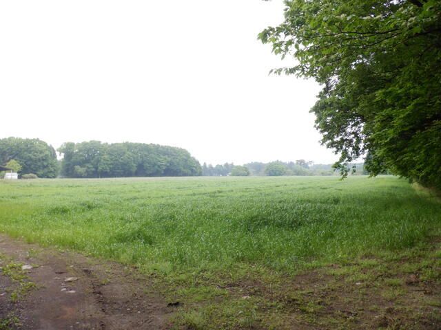 Land for Sale in Nasushiobara, Tochigi - 220 sqm - Thumbnail 4