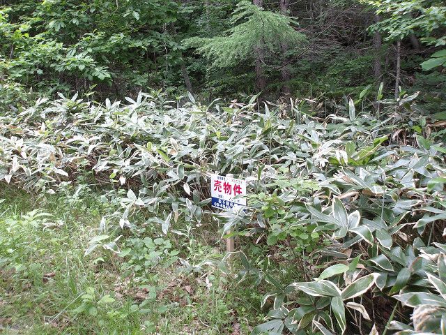 Land for Sale in Hakodate, Hokkaido - 165 sqm - Thumbnail 3