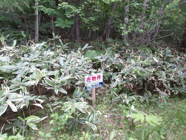 Land for Sale in Hakodate, Hokkaido - 165 sqm - Thumbnail 4
