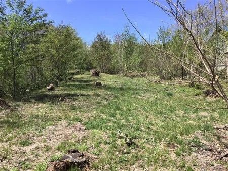 Forest Land for Sale in Hachimantai with Mount Iwate Views - Thumbnail 4