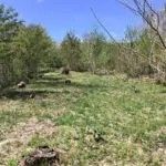 Forest Land for Sale in Hachimantai with Mount Iwate Views - Thumbnail 3