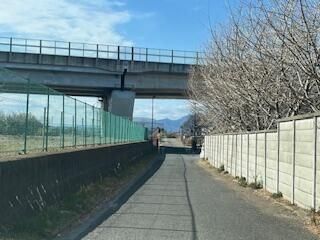 Land for Sale in Ebina City, Kanagawa - 2053 sqm - Thumbnail 2