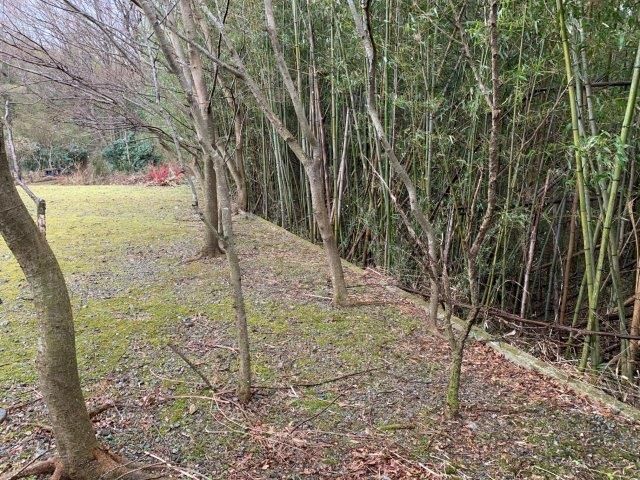 832 sqm Flat Land for Sale Near Nasu Interchange, Tochigi - Thumbnail 2