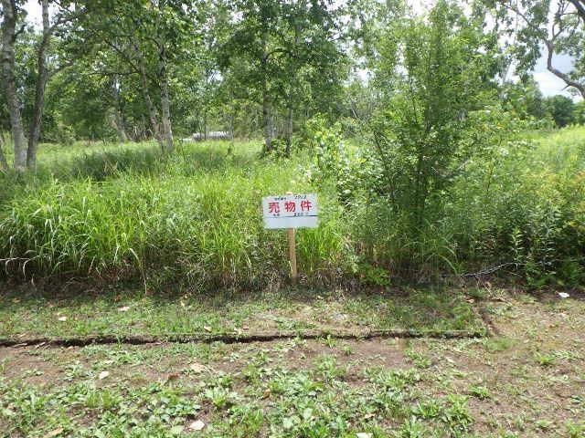 Land for Sale in Chitose, Hokkaido - 330 sqm - Thumbnail 3