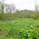 Land for Sale in Teshikaga, Hokkaido - 450 Tsubo Near Grassland Observatory - Thumbnail 3