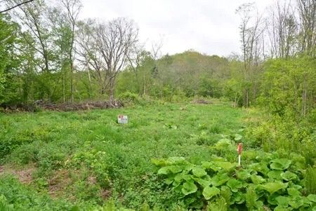 Land for Sale in Teshikaga, Hokkaido - 450 Tsubo Near Grassland Observatory - Thumbnail 4