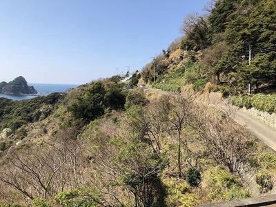 Spacious 4LDK House with Large Land in West Izu, Shizuoka — Land, Nishiizu, Shizuoka
