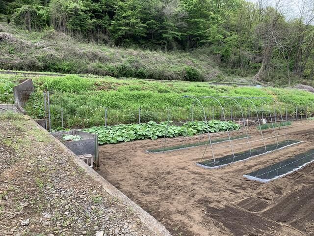 Land for Sale in Tsuru City, Yamanashi - 1,055 sqm - Thumbnail 2