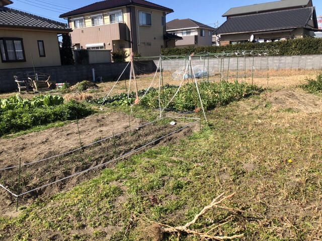 Land for Sale in Tateyama, Chiba - 406.61 sqm - Thumbnail 3