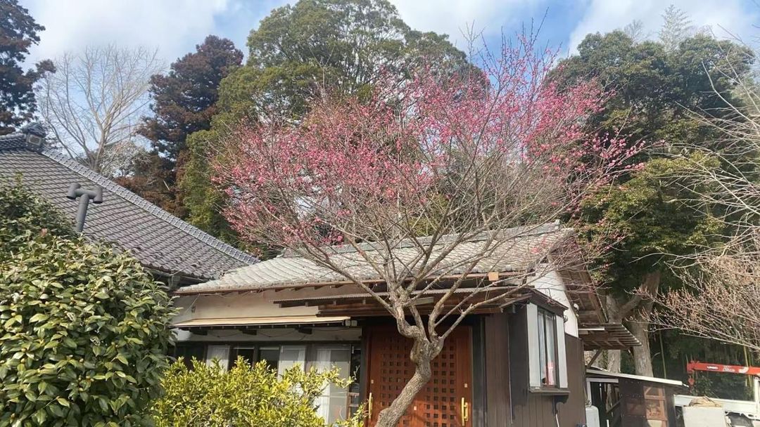 1910 Traditional House on 4525sqm Land in Chiba's Shibayama Town - Thumbnail 3