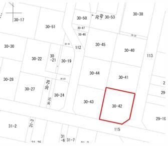243 sqm Building Lot for Sale in Oyama, Tochigi - Thumbnail 4