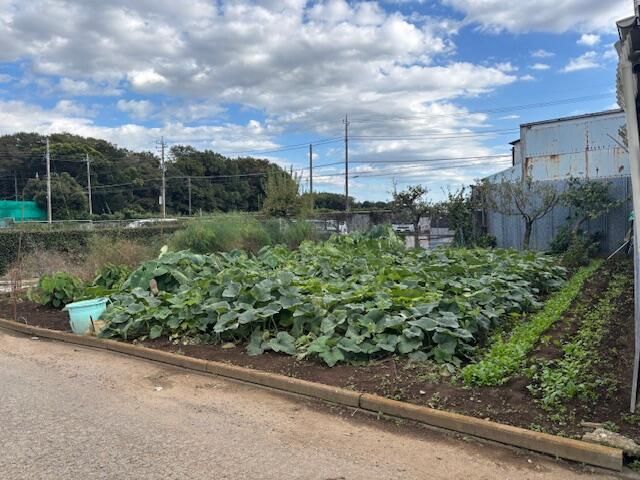 Land for Sale in Ichikawa, Chiba - 200.68 sqm Plot - Thumbnail 2