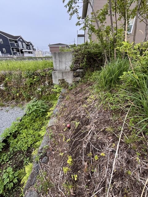 Land for Sale in Fujikawaguchiko Near Mount Fuji - Thumbnail 4