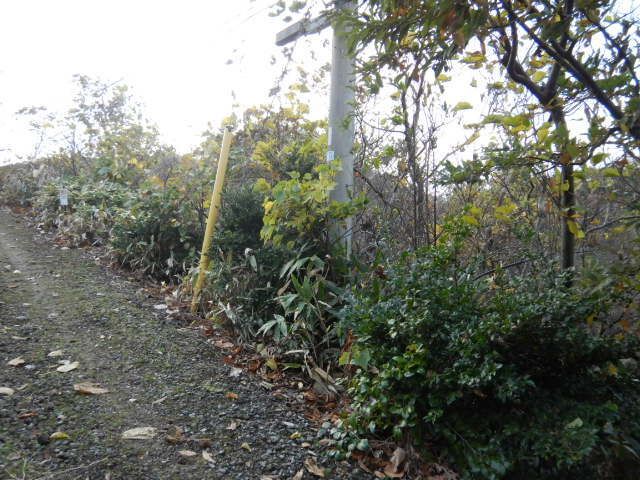373 sqm Land for Sale in Kashiwazaki, Niigata - Thumbnail 3