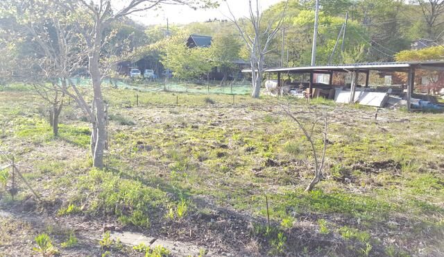 Land for Sale in Sendai Izumi Ward - 393 sqm Vacant Plot - Thumbnail 3