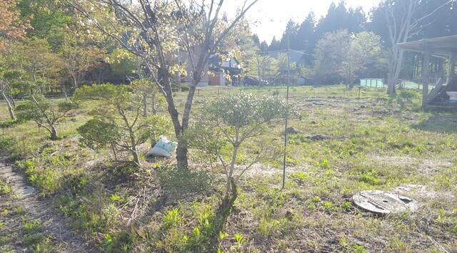 Land for Sale in Sendai Izumi Ward - 393 sqm Vacant Plot - Thumbnail 4