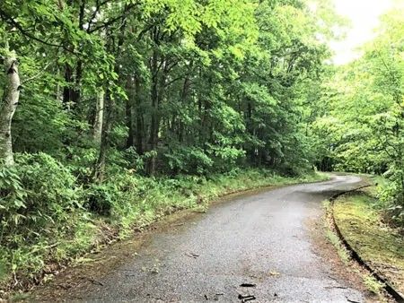 Forest Land with Hot Spring Rights in Towada-Hachimantai National Park - Thumbnail 2