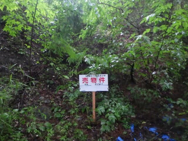 204 sqm Flat Land for Sale in Tsukuba, Ibaraki - Thumbnail 2