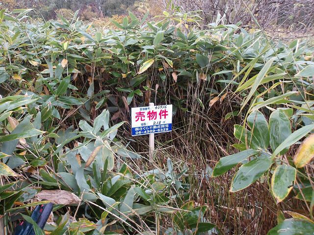 218 sqm Land Plot for Sale in Ishikari, Hokkaido - Thumbnail 3