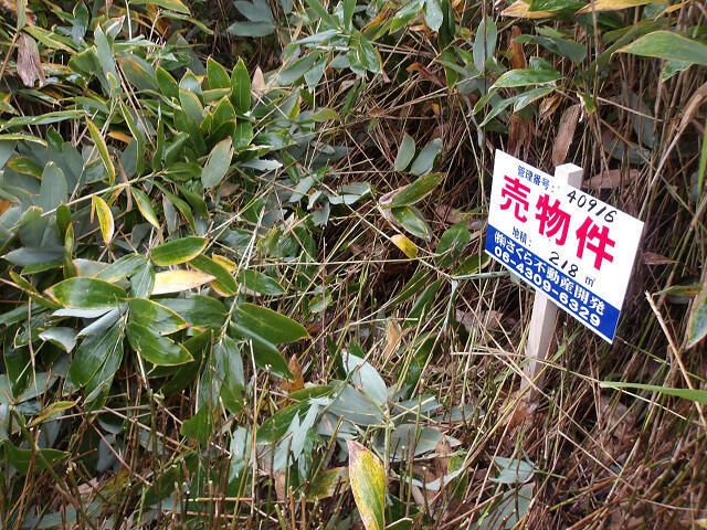 218 sqm Land Plot for Sale in Ishikari, Hokkaido - Thumbnail 2