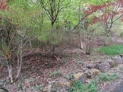 Spacious 728 sqm Land with House in Maebashi, Gunma — Image 11, Maebashi, Gunma