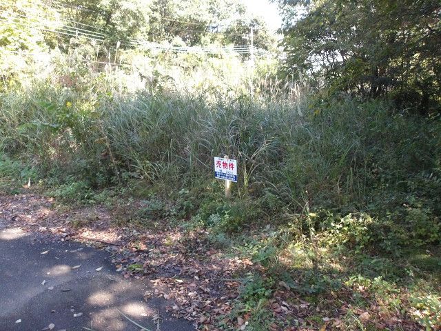 210 sqm Sloped Land for Sale in Nasushiobara, Tochigi - Thumbnail 2