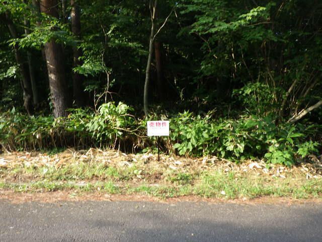 Land for Sale in Hachimantai, Iwate - 1431 sqm - Thumbnail 3