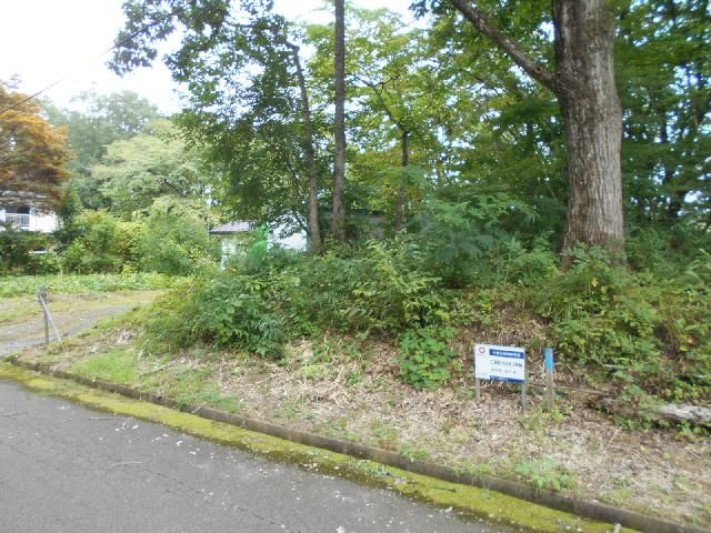 Land for Sale in Nasukarasuyama, Tochigi – 349 sqm Plot - Thumbnail 2