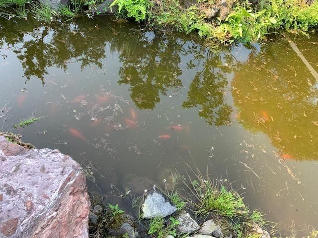 4LDK House on 18,699sqm Land in Sapporo's Minami Ward - Image 11