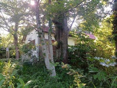 2LDK Detached House on 495 sqm Land in Ito City, Shizuoka — Image 11, Ito, Shizuoka