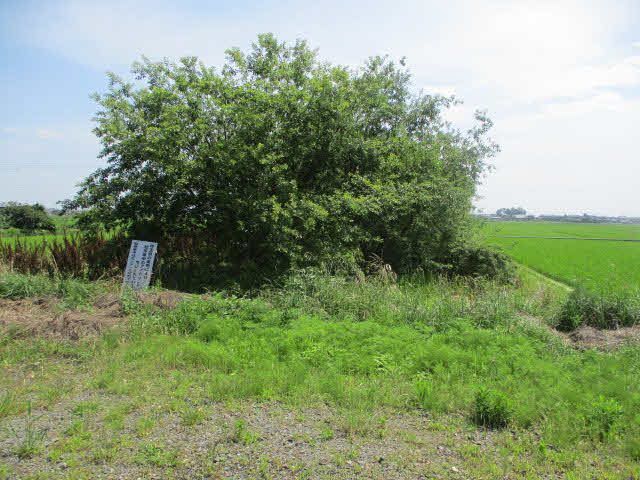 499 sqm Residential Land for Sale in Kazo City, Saitama - Thumbnail 2