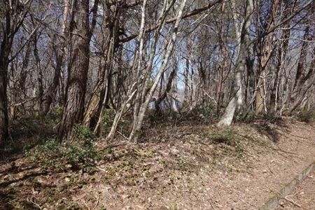 Land for Sale in Hatori Lake Highlands, Fukushima - Thumbnail 2