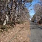 Land for Sale in Hatori Lake Highlands, Fukushima - Thumbnail 3