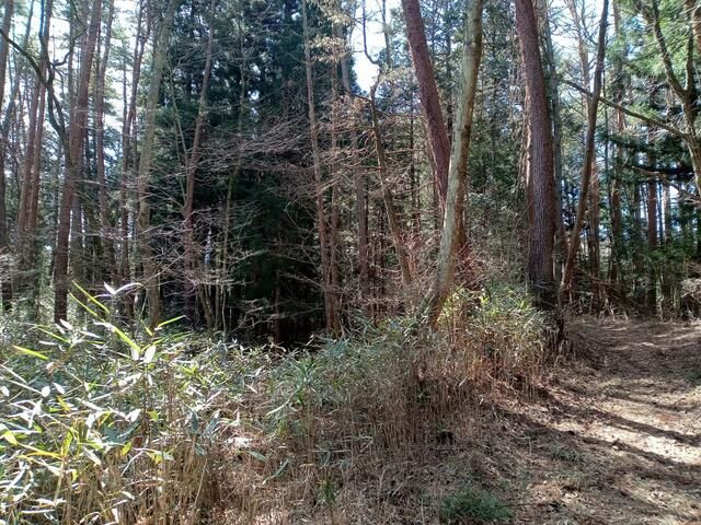 Land for Sale in Fujikawaguchiko near Mount Fuji - Thumbnail 3
