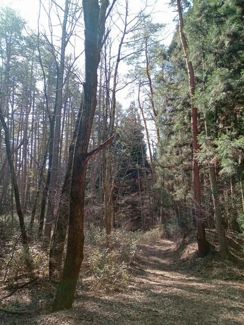 Land for Sale in Fujikawaguchiko near Mount Fuji - Thumbnail 2