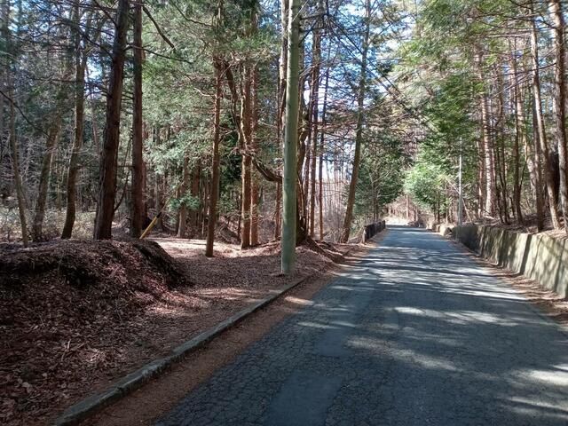 Land for Sale in Fujikawaguchiko near Mount Fuji - Thumbnail 4