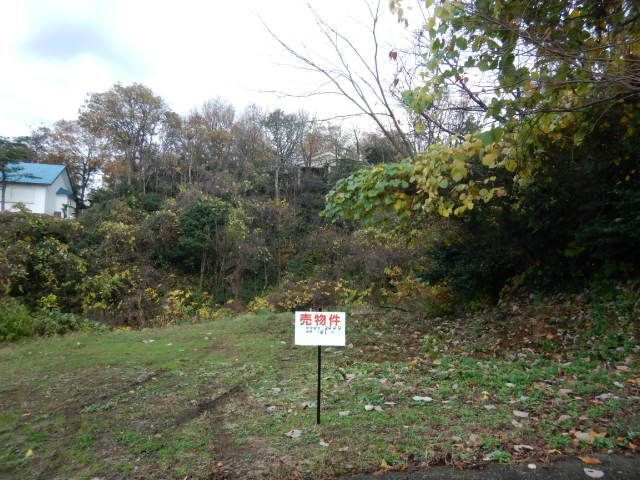 181 sqm Land for Sale in Kashiwazaki, Niigata - Thumbnail 3