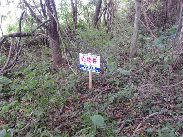 Vacant Land for Sale in Hachinohe, Aomori - 347 sqm Plot - Thumbnail 3