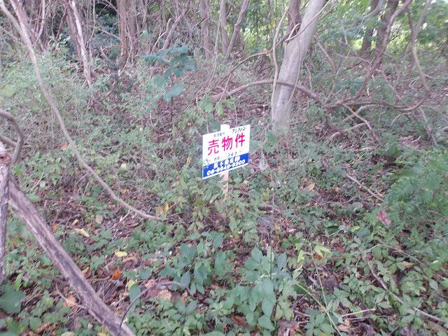 Vacant Land for Sale in Hachinohe, Aomori - 347 sqm Plot - Thumbnail 4
