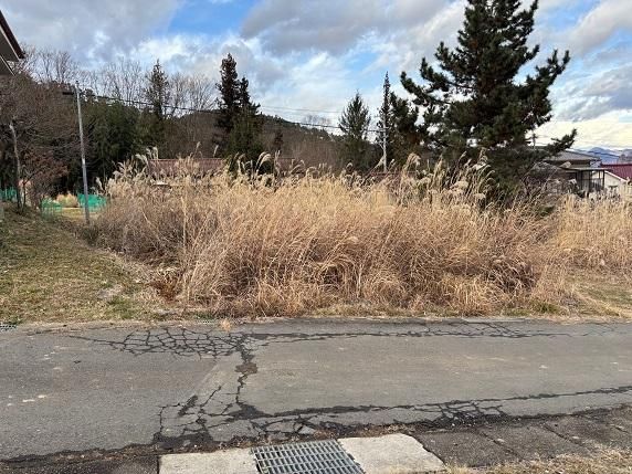 Land for Sale in Bessho Onsen Area, Ueda, Nagano - Thumbnail 3