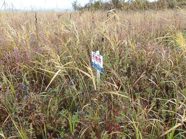330 sqm Land Plot for Sale in Ishikari, Hokkaido - Thumbnail 3