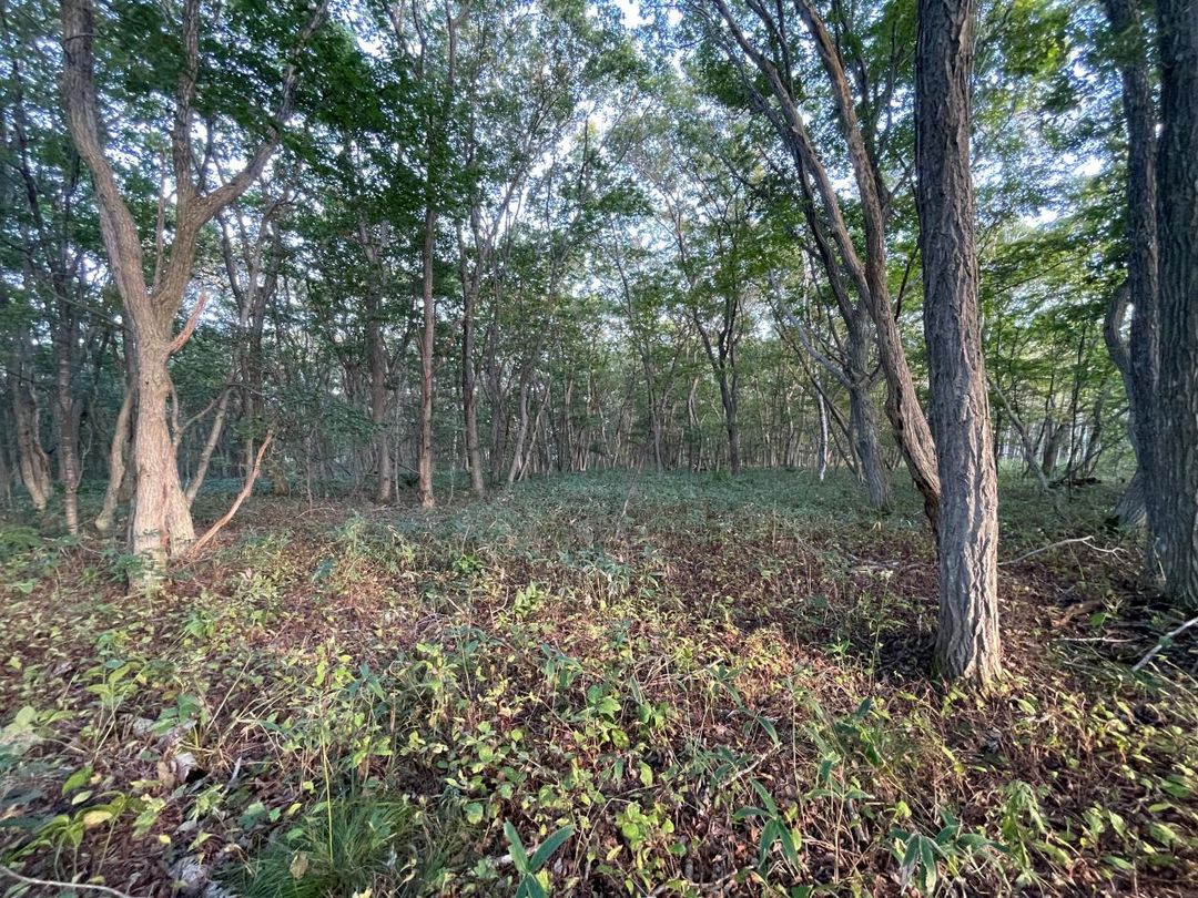 661 sqm Land for Sale in Chitose, Hokkaido - Thumbnail 3