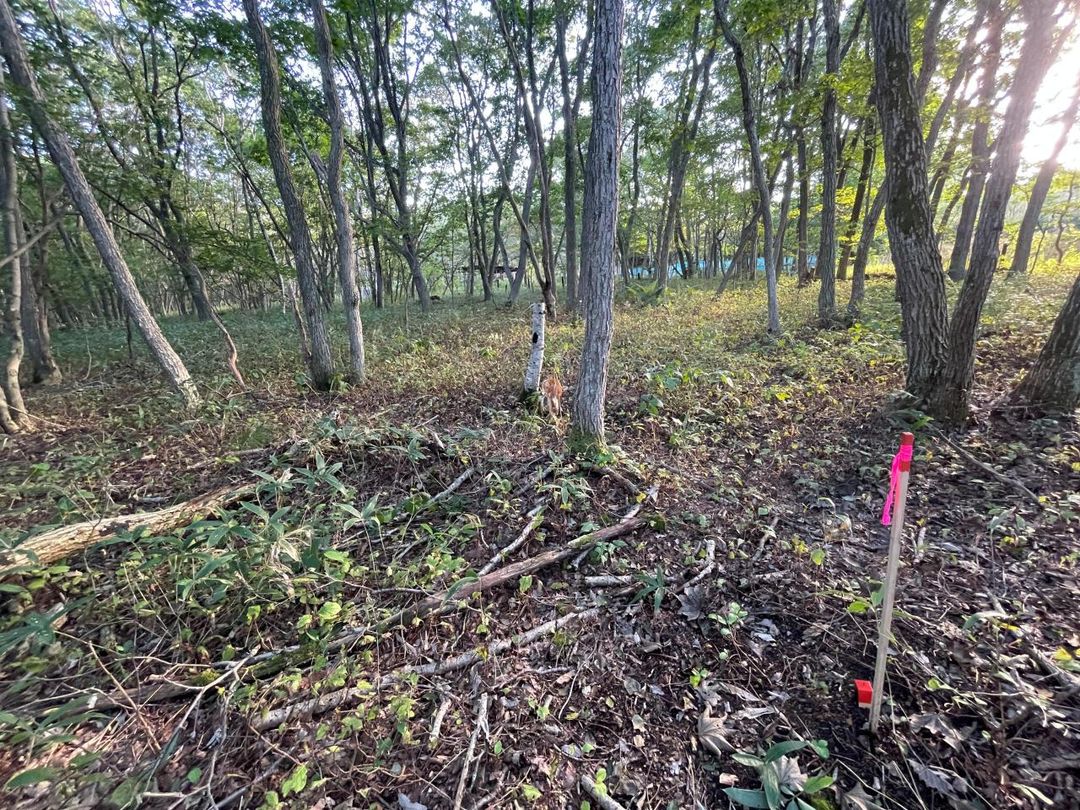661 sqm Land for Sale in Chitose, Hokkaido - Thumbnail 4