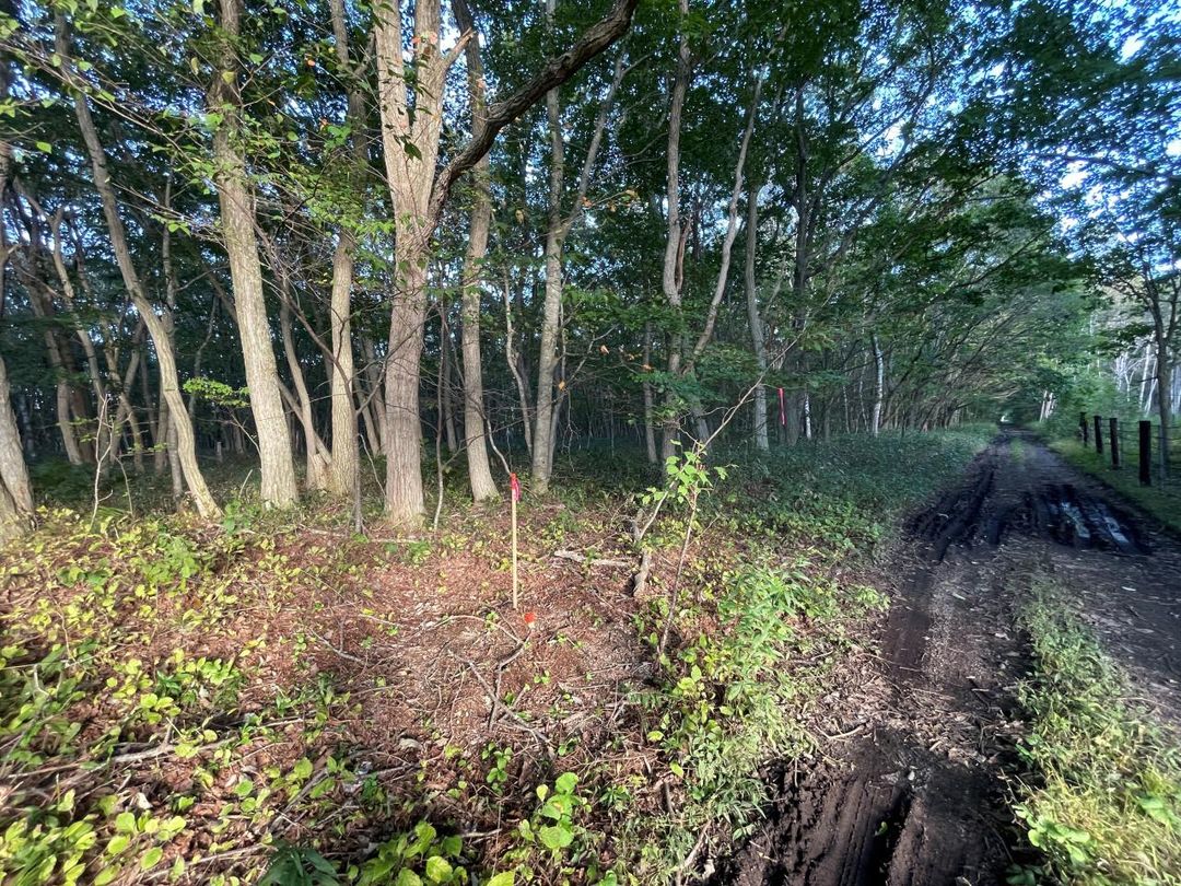 661 sqm Land for Sale in Chitose, Hokkaido - Thumbnail 2