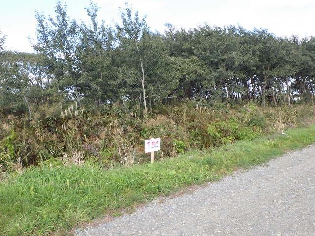 386 sqm Land Plot for Sale in Ebetsu, Hokkaido - Thumbnail 4