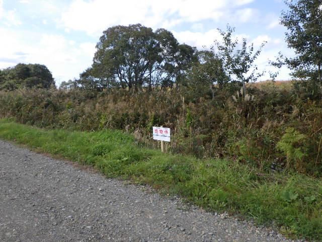 386 sqm Land Plot for Sale in Ebetsu, Hokkaido - Thumbnail 2